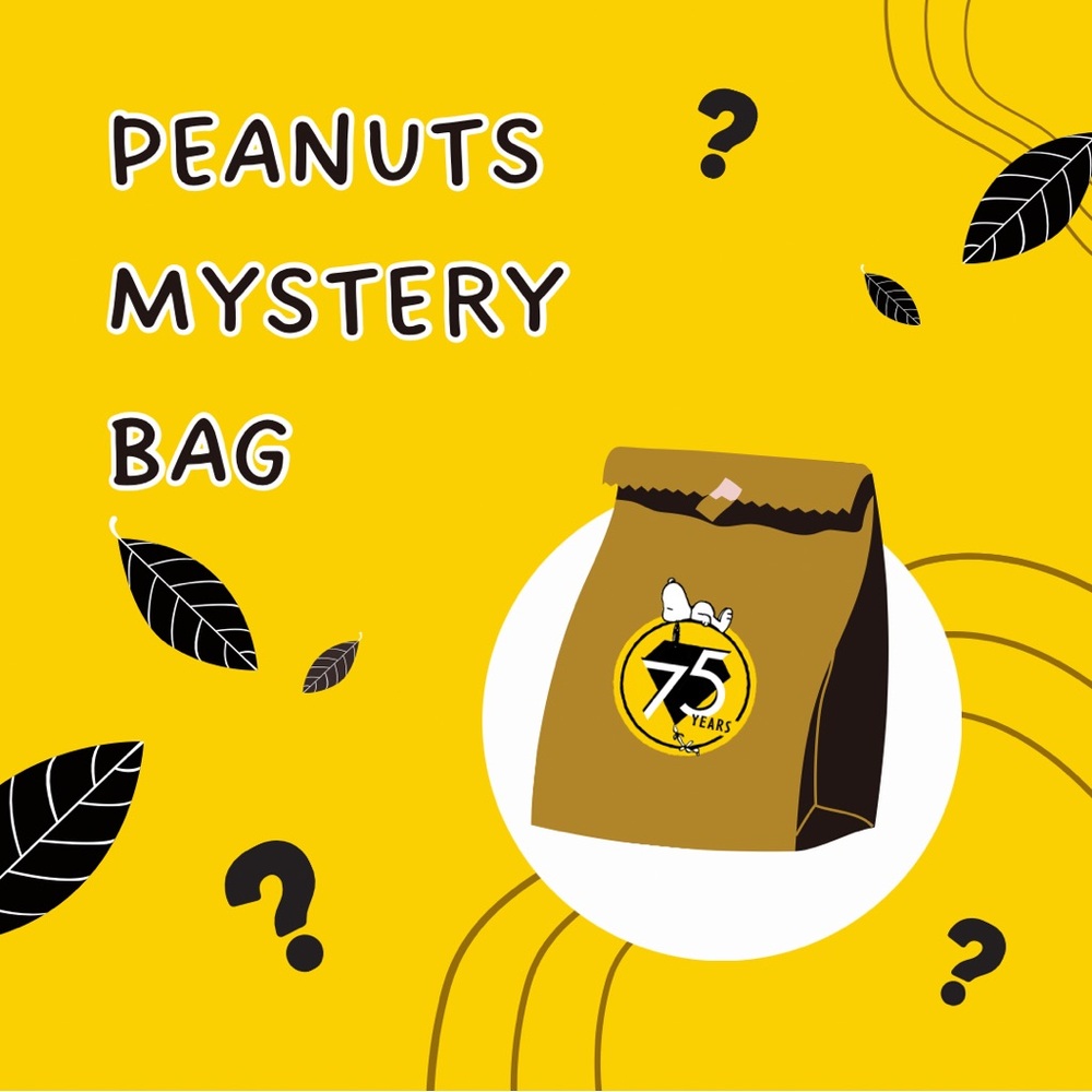 Peanuts Mystery Bag